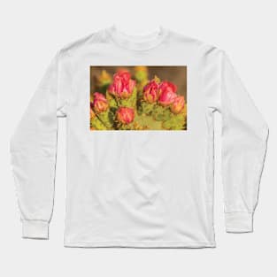 Prickly Pear Cactus Blossoms Long Sleeve T-Shirt